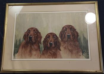 Reuben Ward Binks (1860-1945) Three Irish setters 17.5 x 26.75in.